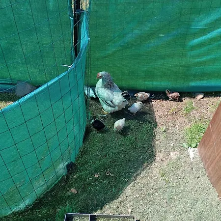 Prizemni Utulny S Vlastni Saunou A Bazenem Hétvégi ház Nýdek