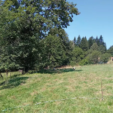 Hétvégi ház Prizemni Utulny S Vlastni Saunou A Bazenem Nýdek